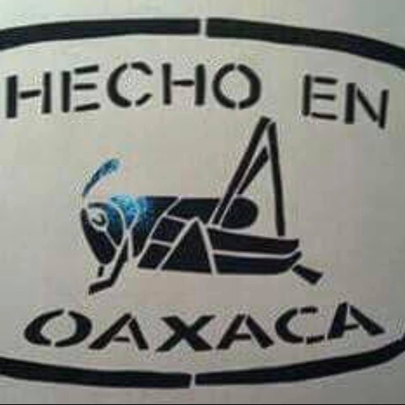 BRAND NEW Beautiful Leather Wallet - Picture 4 of 4